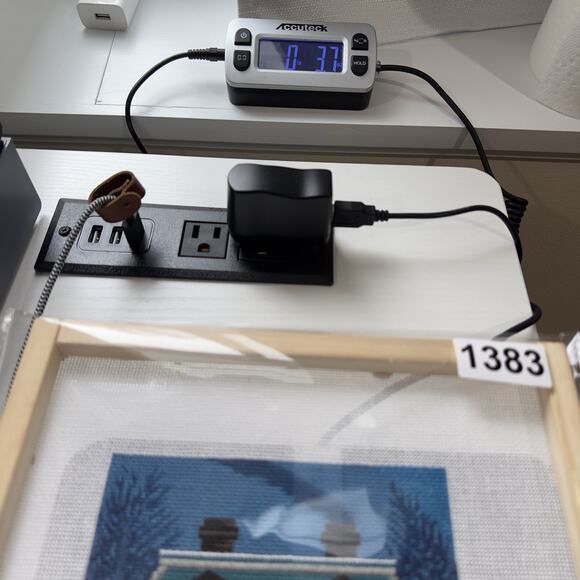 Peter Ashe Hand-Painted Needlepoint Canvas Victorian House Snowy Incomplete - Picture 16 of 16